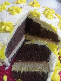 A picture of Chocolate and vanilla cake.