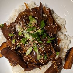 A picture of Teriyaki Eggplant & Mushroom Don.