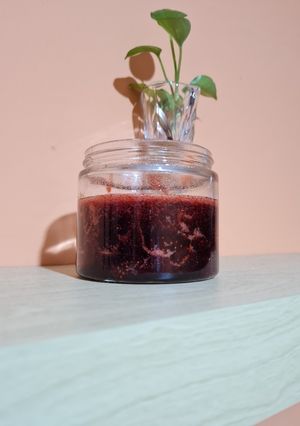 Foto resep Selai Strawberry