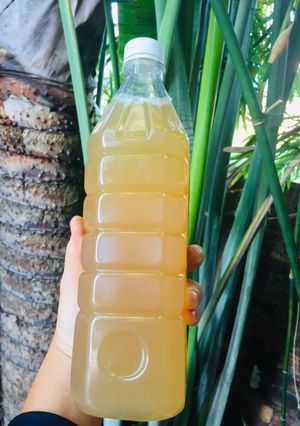 Hình của món Trà sen tắc mật ong.