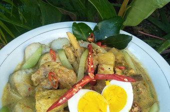 Cara Membuat Opor Ayam Komplit Bunda Pasti Bisa