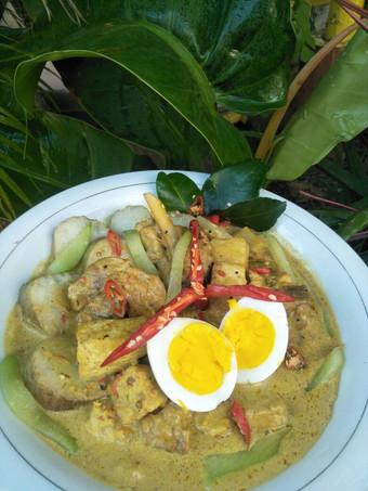 Bagaimana Membuat Opor Ayam Komplit Bahan Sederhana