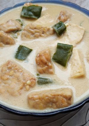 Foto resep Sayur Tahu Tempe Kuah Santan