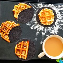 A picture of Waffles.