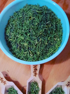 عکسی از دستور مرزه خشک
