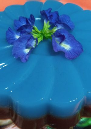 Foto resep Puding Lapis Coklat ~ Bunga Telang