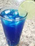 Blue Lagoon ( Laguna Azul )