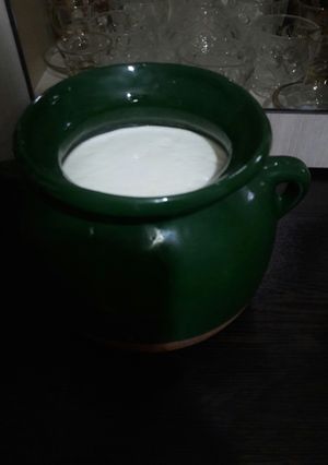 عکسی از دستور ماست خانگی