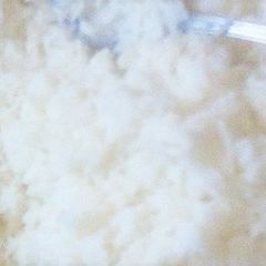 White Rice A picture of White Rice.