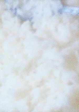 A picture of White Rice.
