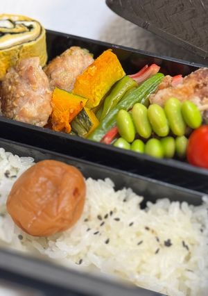 A picture of Obento one day.
