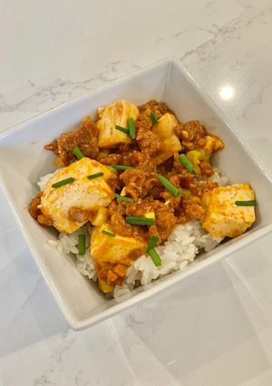 A picture of Mapo Tofu.