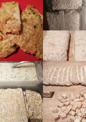 Foto resep 85. Homemade Tempeh (Winter)