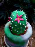 Cactus cake