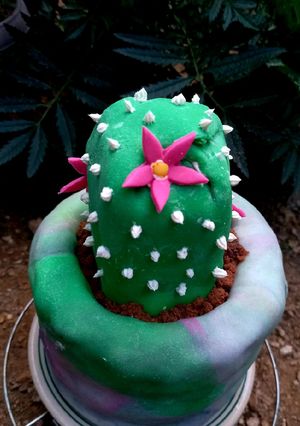 Una foto de Cactus cake