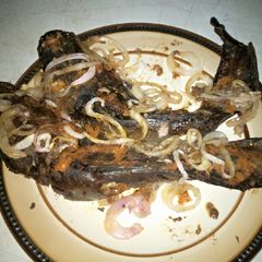 A picture of Roasted catfish.