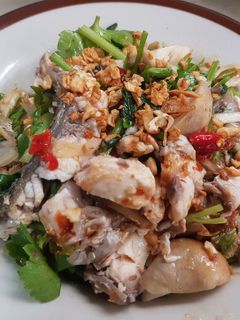 รูปของ ปลากระพงยำ