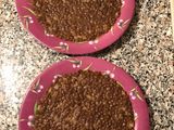 مجدرة زحلاوية