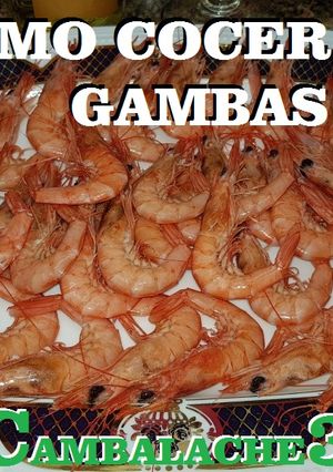 Foto principal de Cómo cocer las gambas