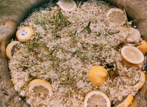 Bodzaszörp recept fotója