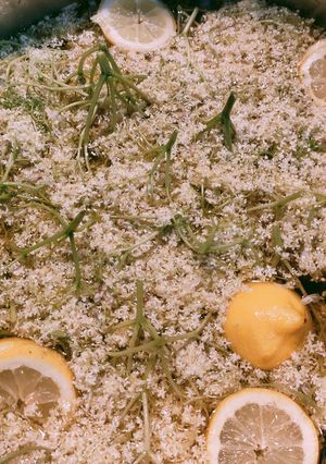 Bodzaszörp recept fotója