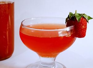 Foto resep Kombucha (2nd Fermentation)