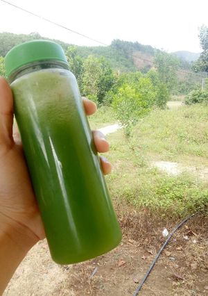 Hình của món Nước ép dưa leo.