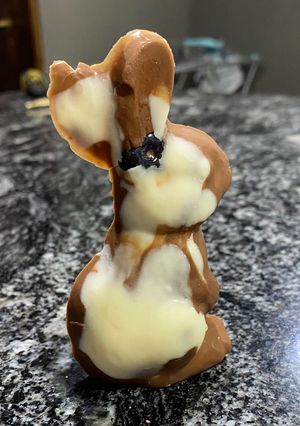 Una foto de Conejito de arándanos y chocolate