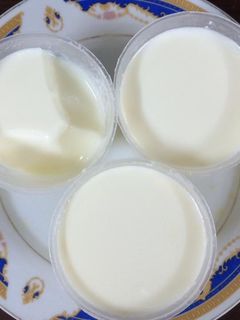 Hình của món Sữa chua handmade.