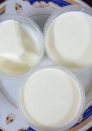 Hình của món Sữa chua handmade.
