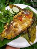 325. Kerutup Ikan Tembakang Khas Jambi 🐟