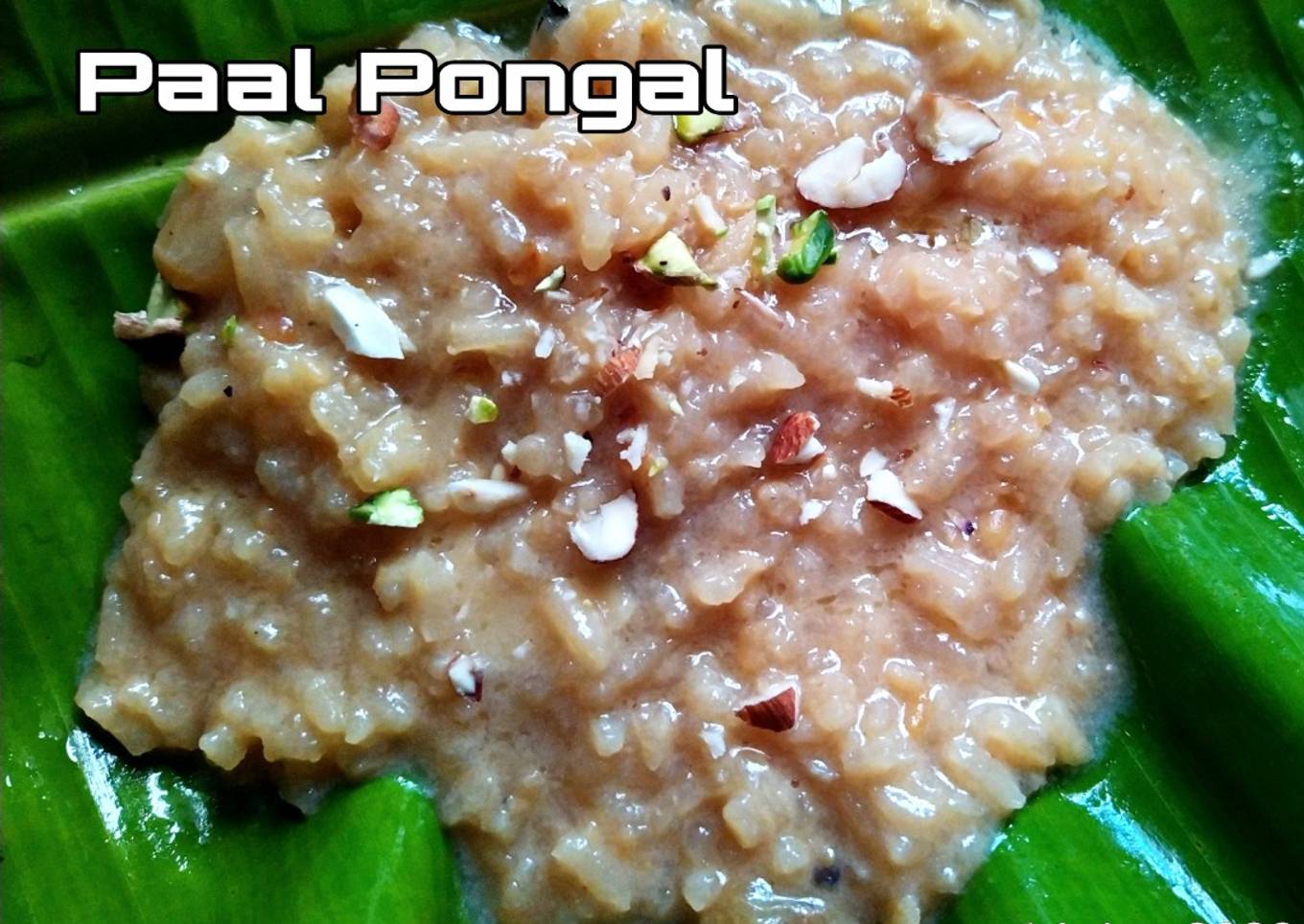 Paal Pongal