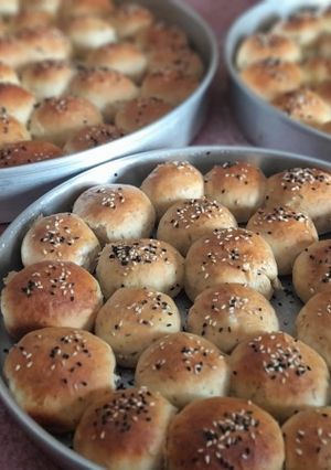 صورة لوصفة خليه النحل بالجبنة والزعتر