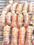 Langostas a la parrilla