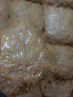 صورة لوصفة حلى الشعيرية