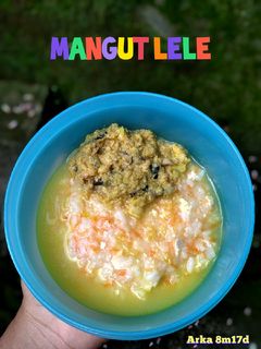 Foto resep MPASI 8 BULAN, MPASI KUADRAN. MANGUT LELE