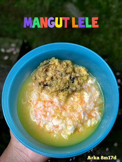 Foto resep MPASI 8 BULAN, MPASI KUADRAN. MANGUT LELE