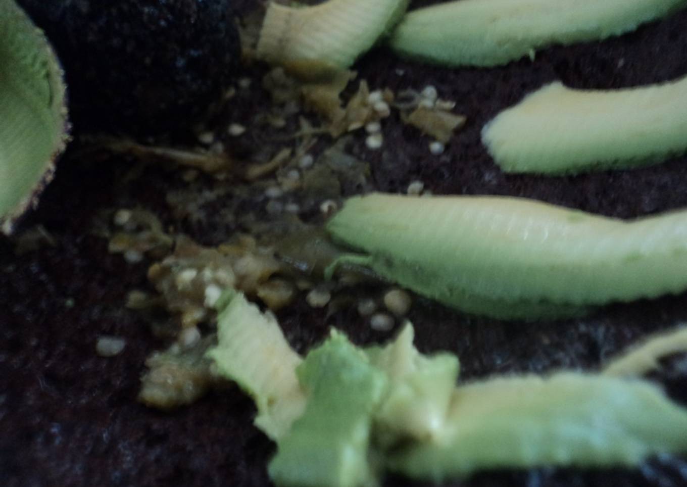 Salsa verde con aguacate criollo