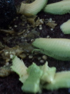Una foto de Salsa verde con aguacate criollo