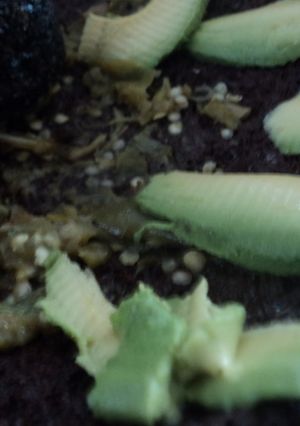 Una foto de Salsa verde con aguacate criollo
