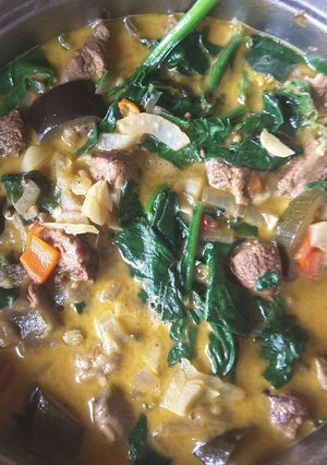 A picture of Lamb and vegetable curry.