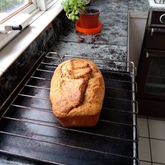 Spelt and Wholemeal Banana Cake A picture of Spelt and Wholemeal Banana Cake.