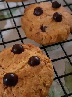 Foto resep Pumpkin Choco Oat Cookies