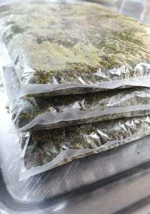 عکسی از دستور سبزی قرمه