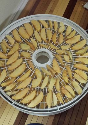 A picture of Dehydrated apples and bananas.