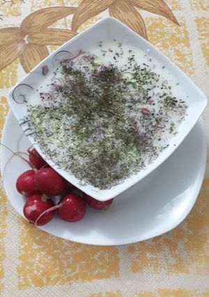عکسی از دستور بورانی تربچه و خیار
