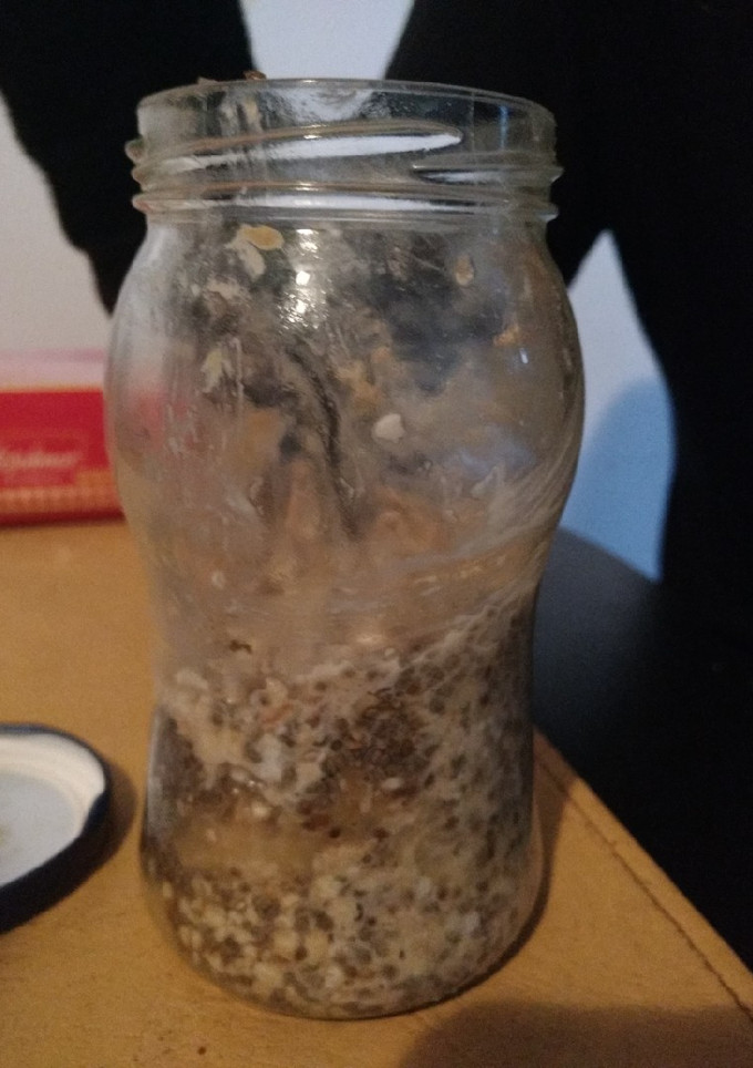 Una foto de Postre vegano