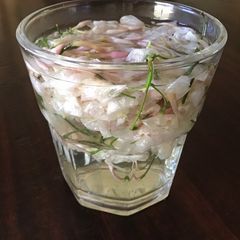 A picture of California Farm Steeped Honeysuckle Tea.