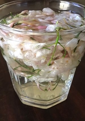 A picture of California Farm Steeped Honeysuckle Tea.