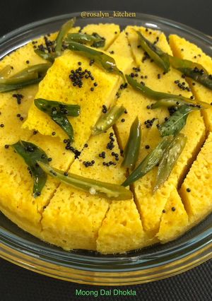 A picture of Moong Dal Dhokla.